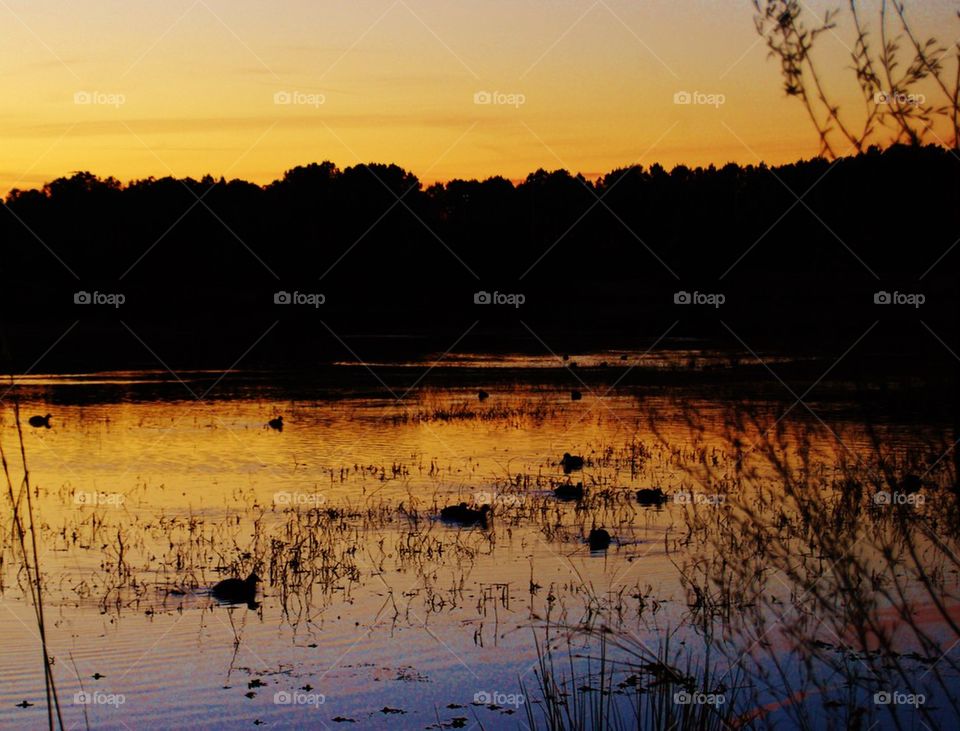 Sunrise on the Lake