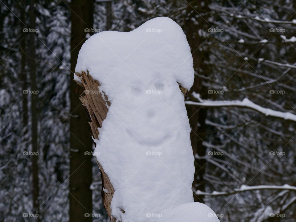 Snow smiley 