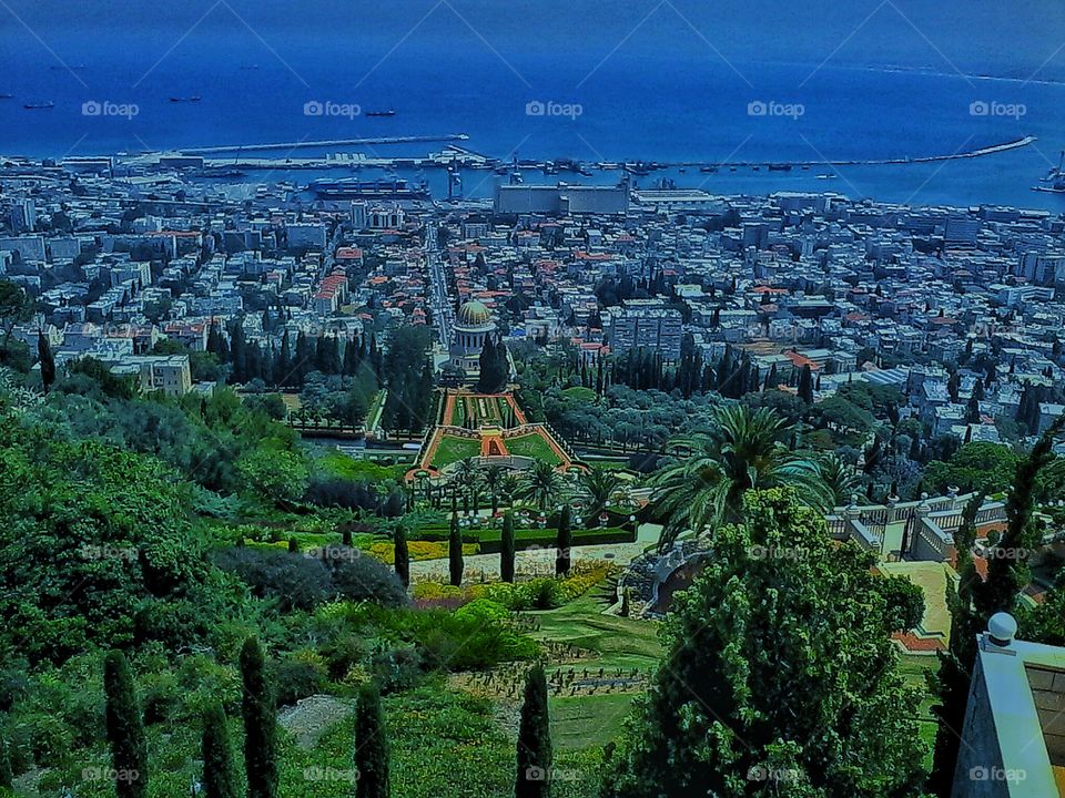 Haifa 