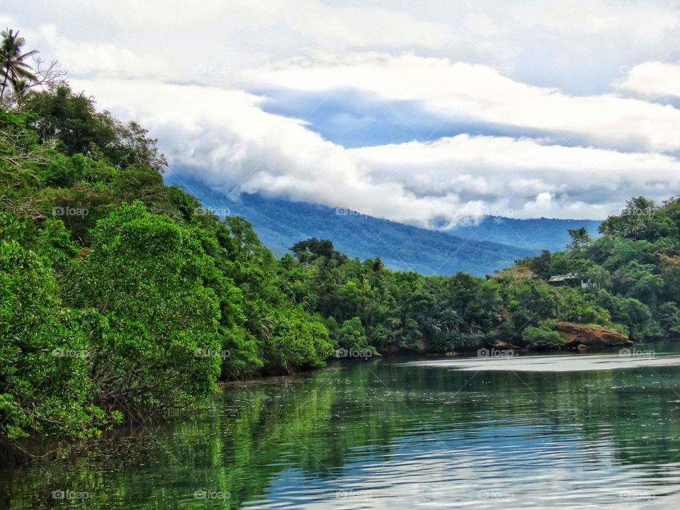 View of the bay and mangrove trees with mountains in the background.