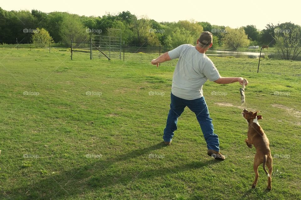 A man in motion throwing a rope bone for a dog and the young puppy behind him about to grab it with the green grass of spring funny