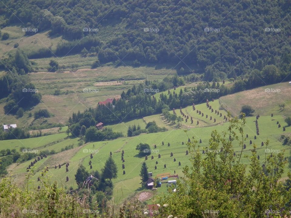 view from mountain