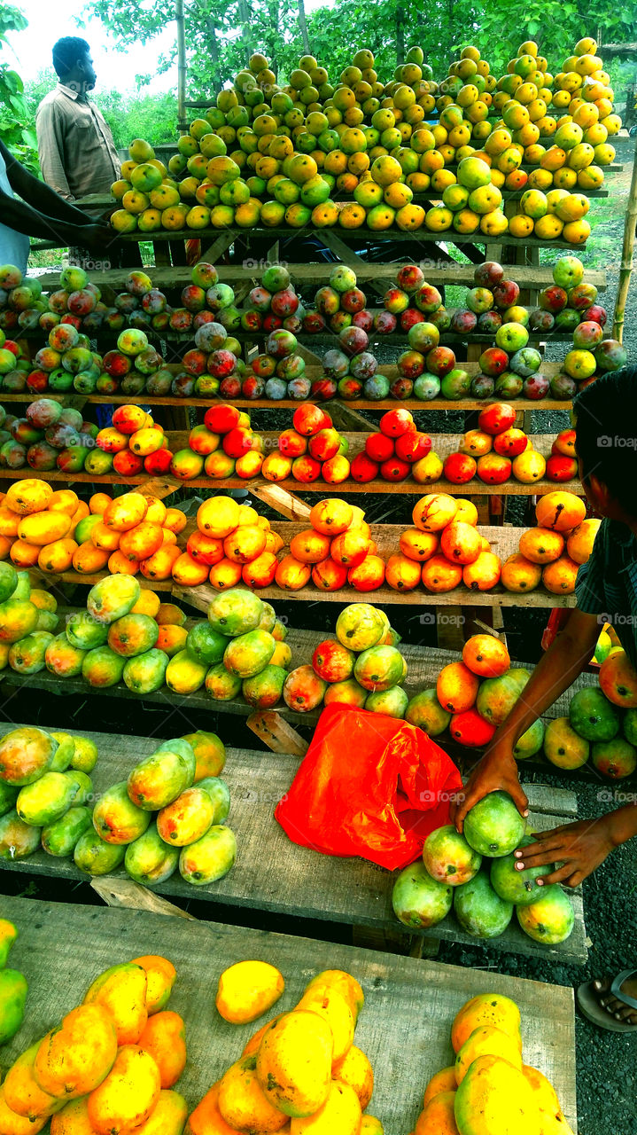 Variety of mangoes Captured.