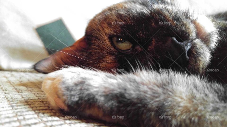 Looking at me looking at you