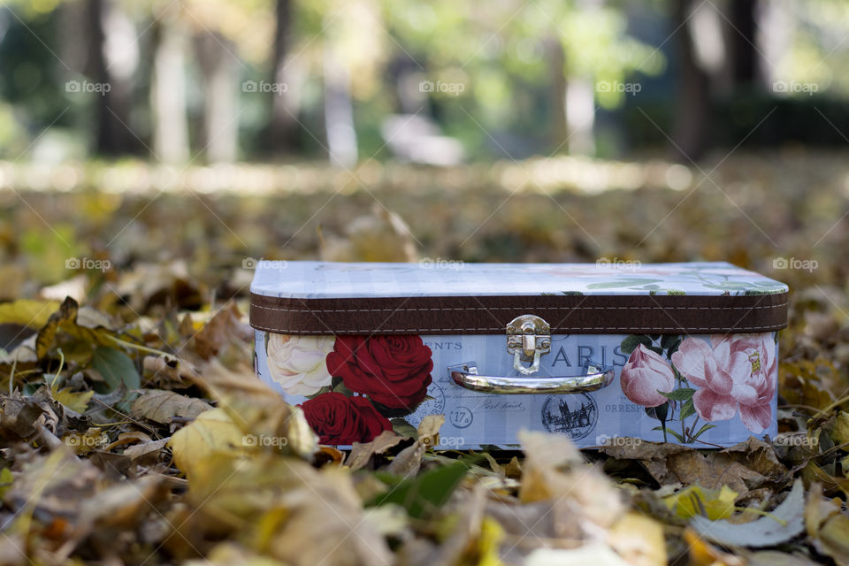 Close-up of bag on autumn leaves