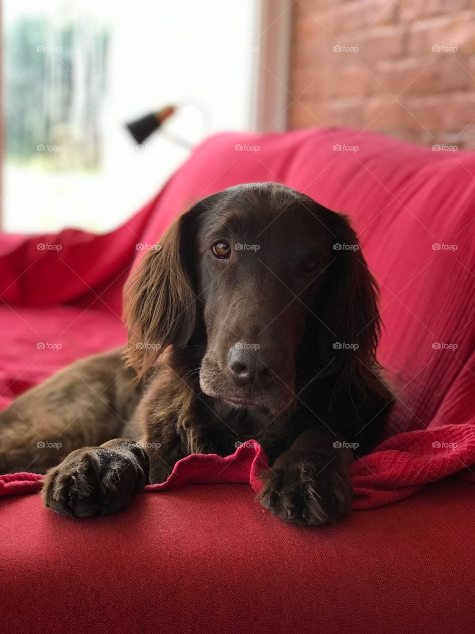 Winnie looking beautiful 