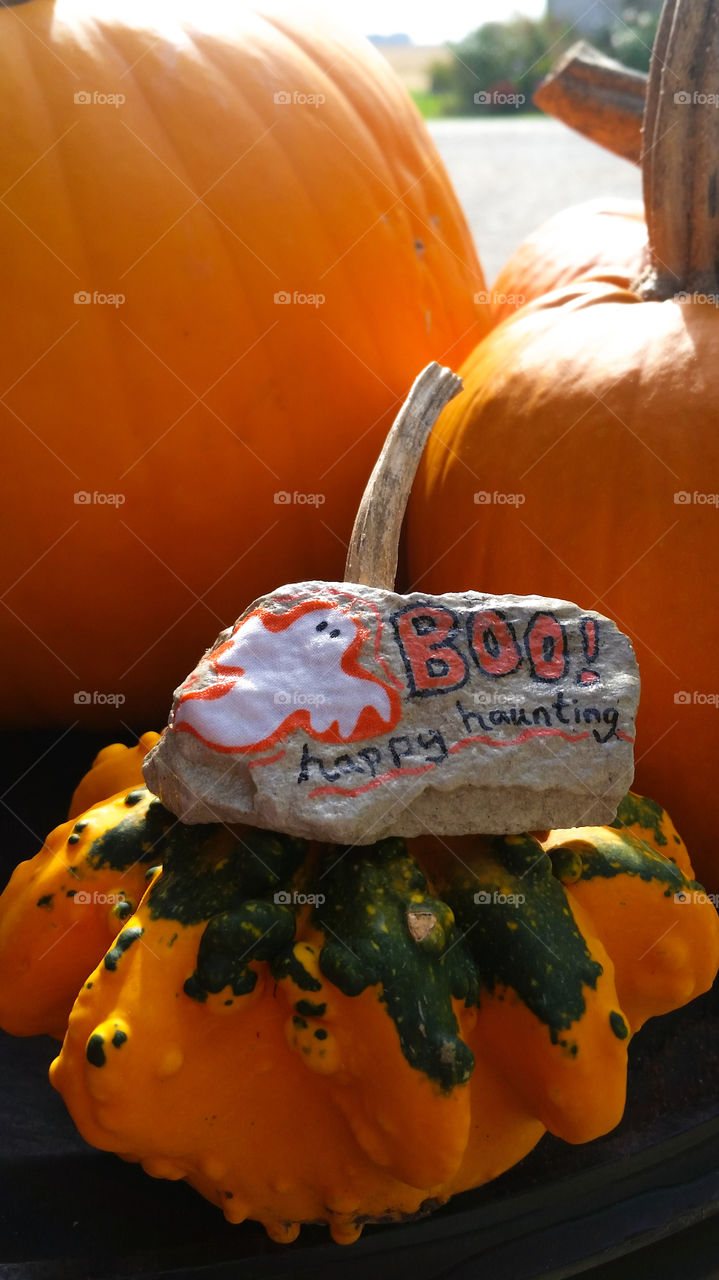 Boo! This hand painted rock is hiding with the pumpkins to wish you a happy haunting