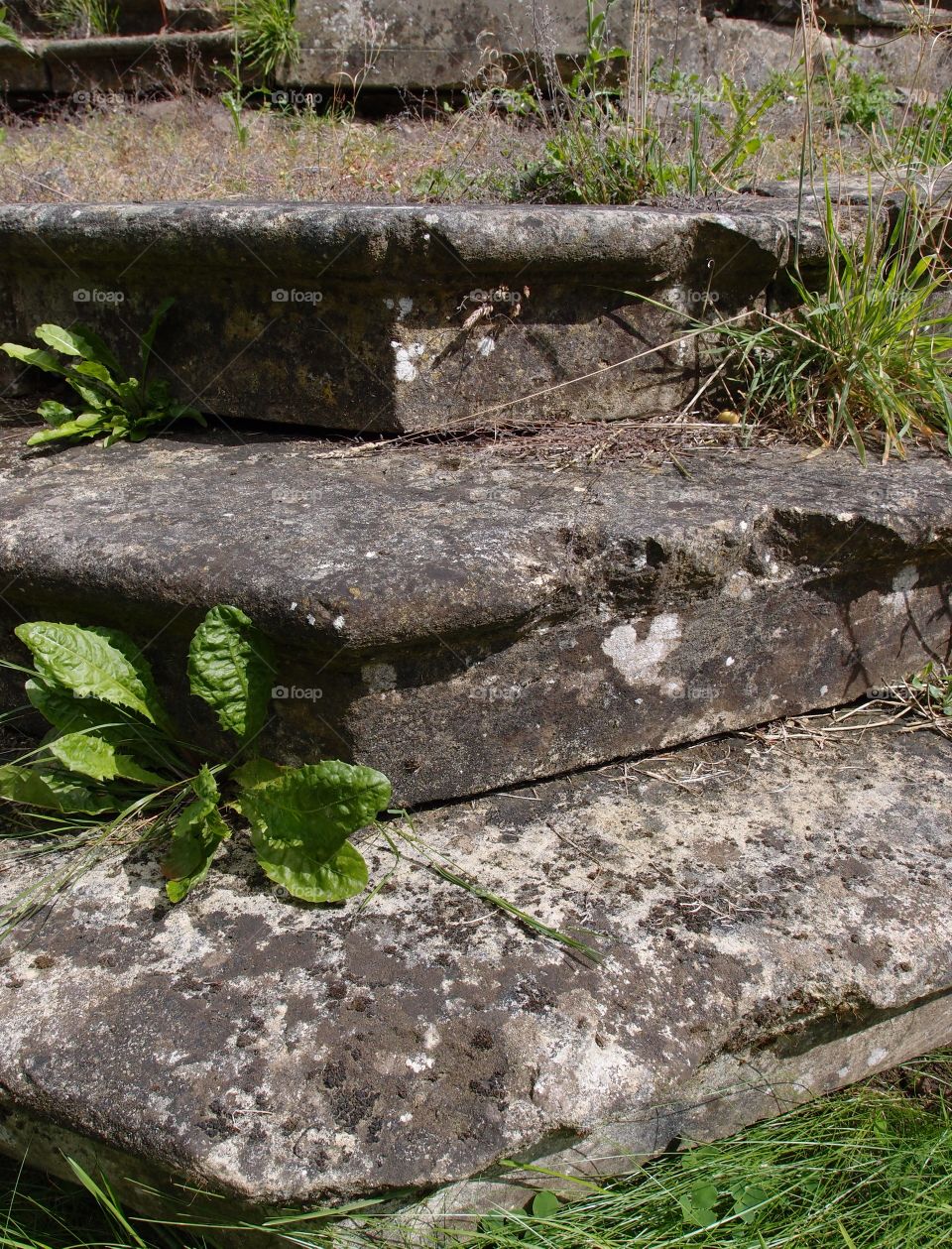 The remains of steps to an old castle on the grounds of Castle Howard in the English countryside. 