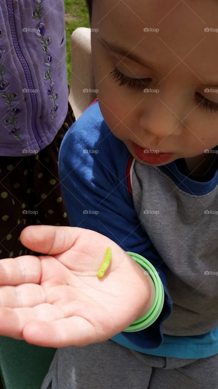 measuring. bro found an inchworm