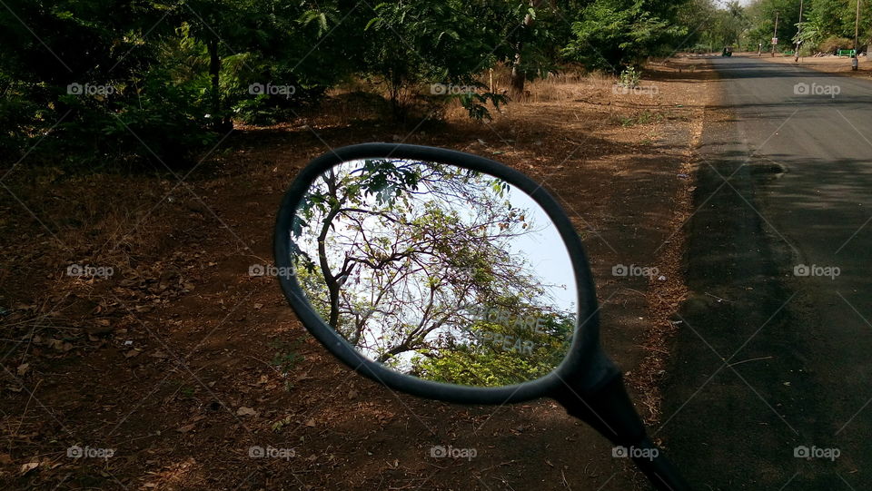 mirror view