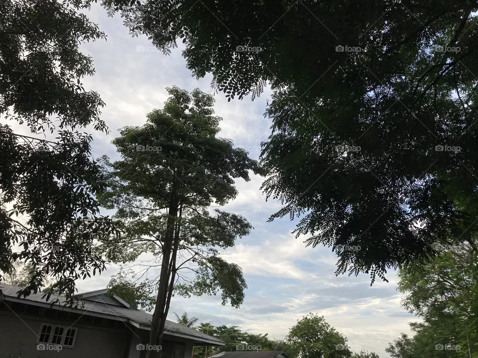 evening sky