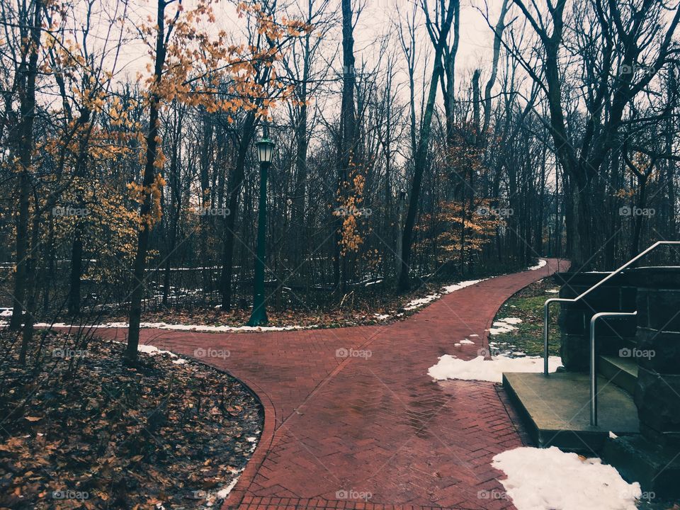Red brick sidewalk path leading through the woods on rainy day 