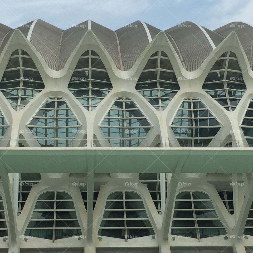 Santiago Calatrava - Valencia Spain