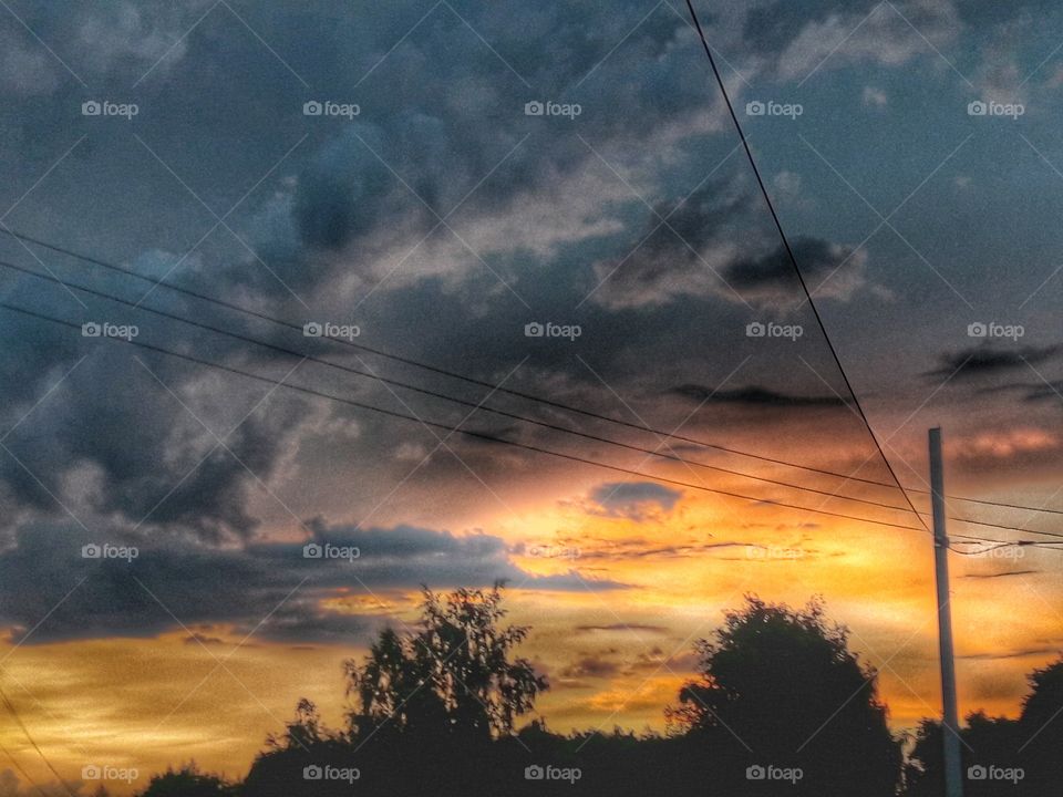 nature flower botany summer spring greens wild clouds sky