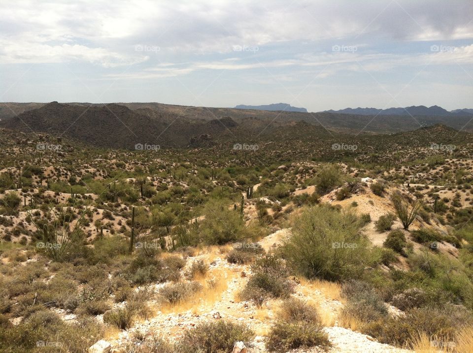 Sycamore Creek Desert. A view from a trail off of Sycamore Creek.