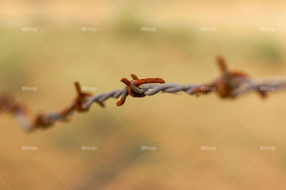 fencing wire with blurry background