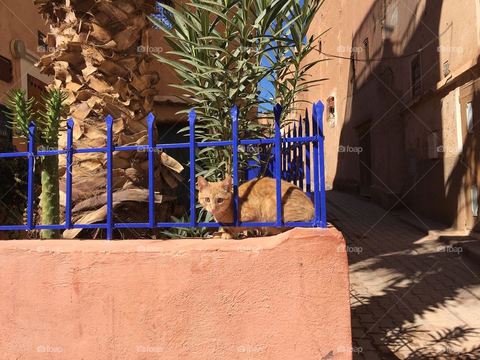 Architecture, No Person, Travel, Building, House