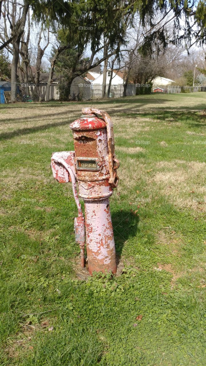 fire hydrant 1