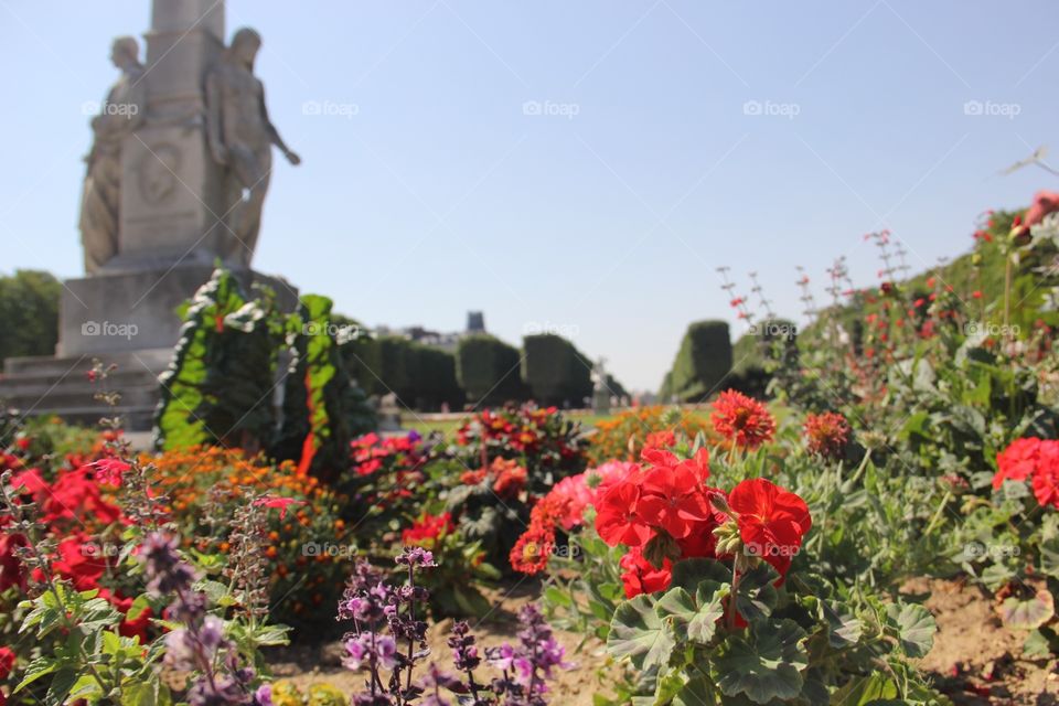 France Flowers. 