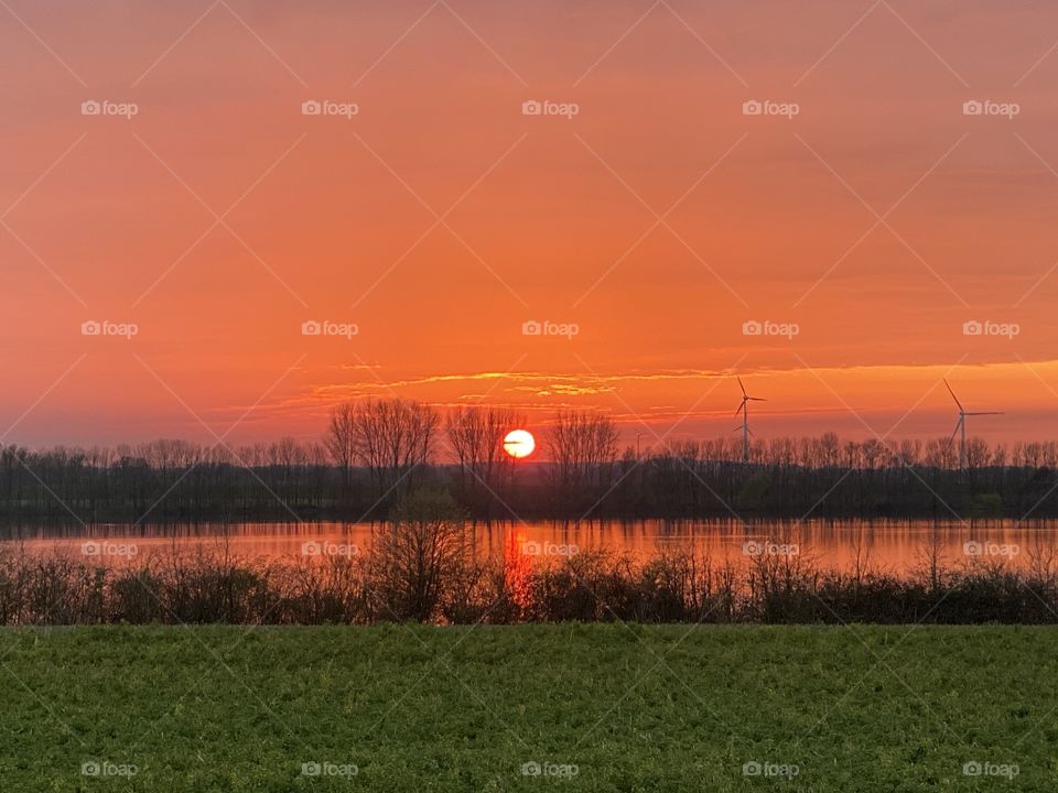 Sonnenuntergang am Rhein 