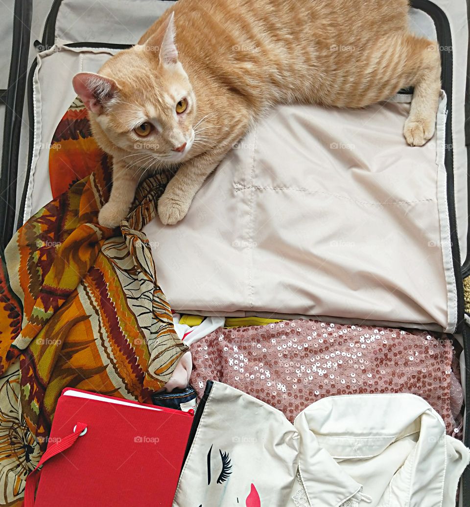 Suitcase for holiday