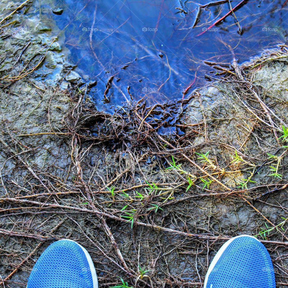 standing on the River Bank in Sacramento California