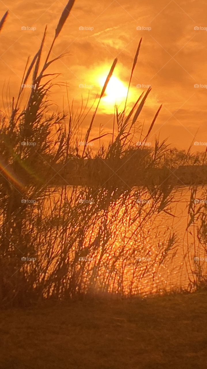 Sundown Completed Sky is opening up. Blistering Orange Slivers along with Yellows upper atmosphere bleeding down to the lower with Grays Blues Violets tops of high clouds getting into the act by opening up.