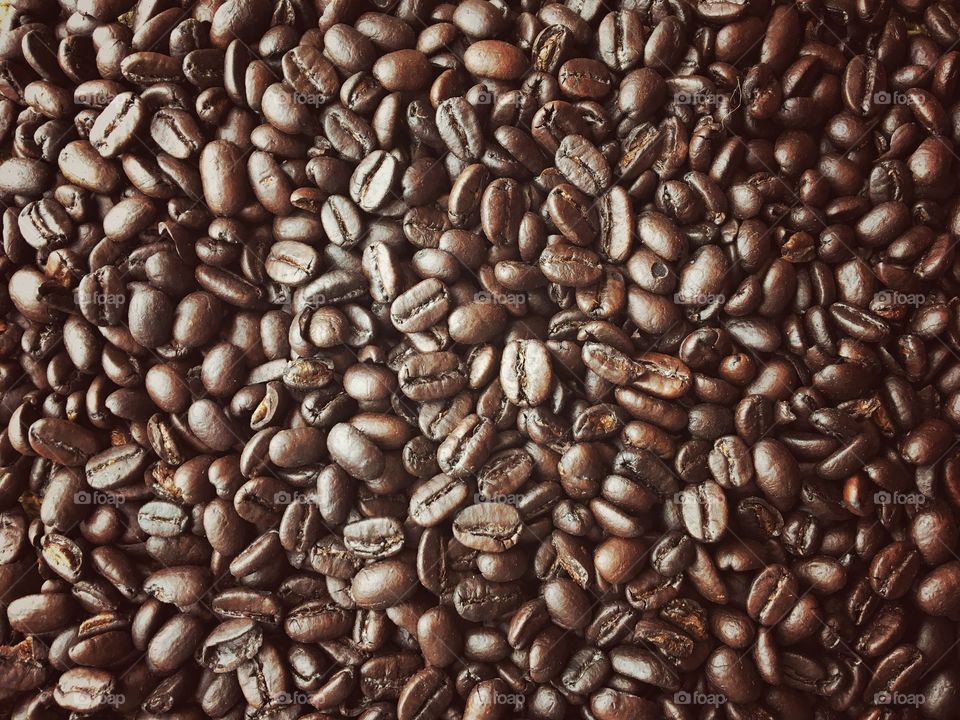 Close-up of coffee beans