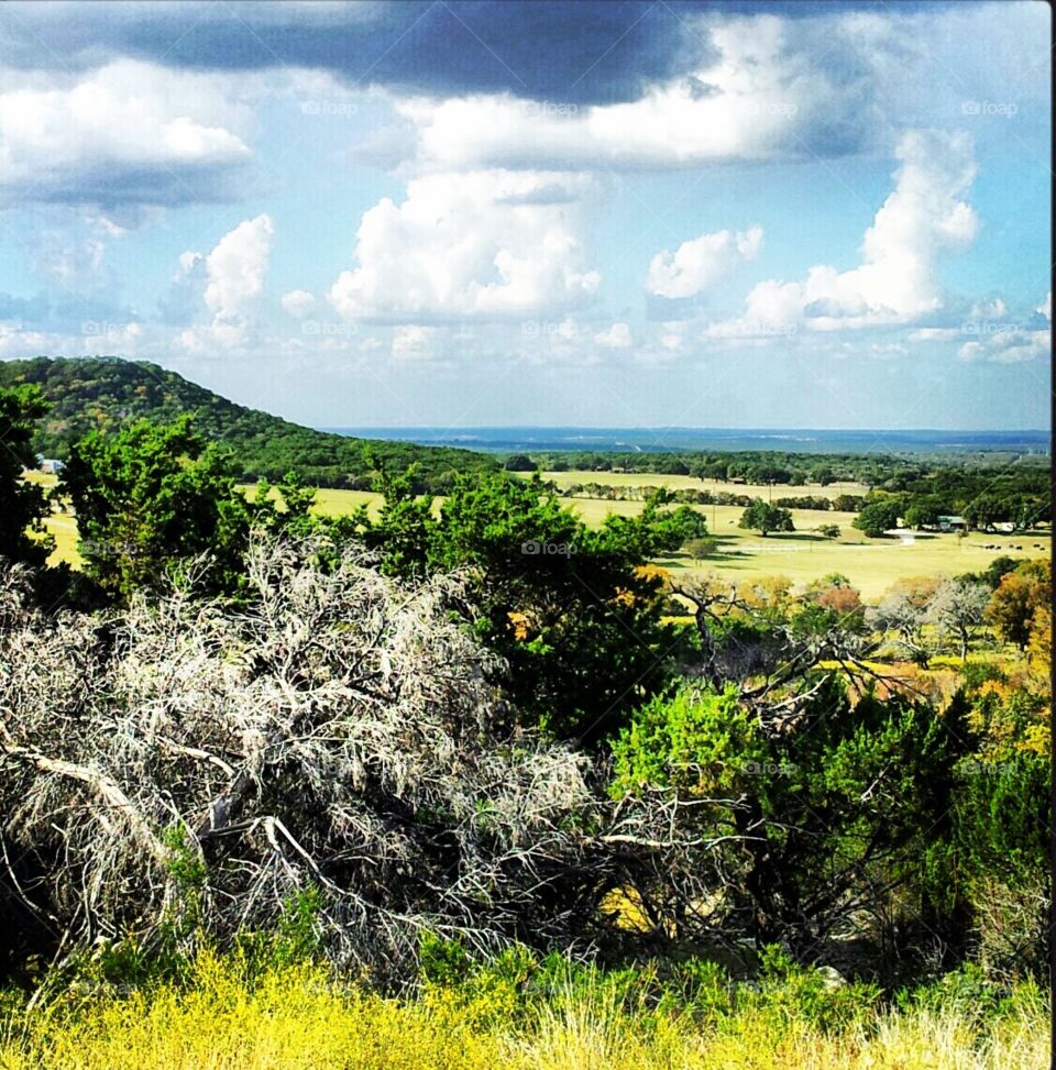 Fossil Rim Wildlife Center near Glen Rose, Texas.  It has numerous exotic animals to view on self-guided tours. 