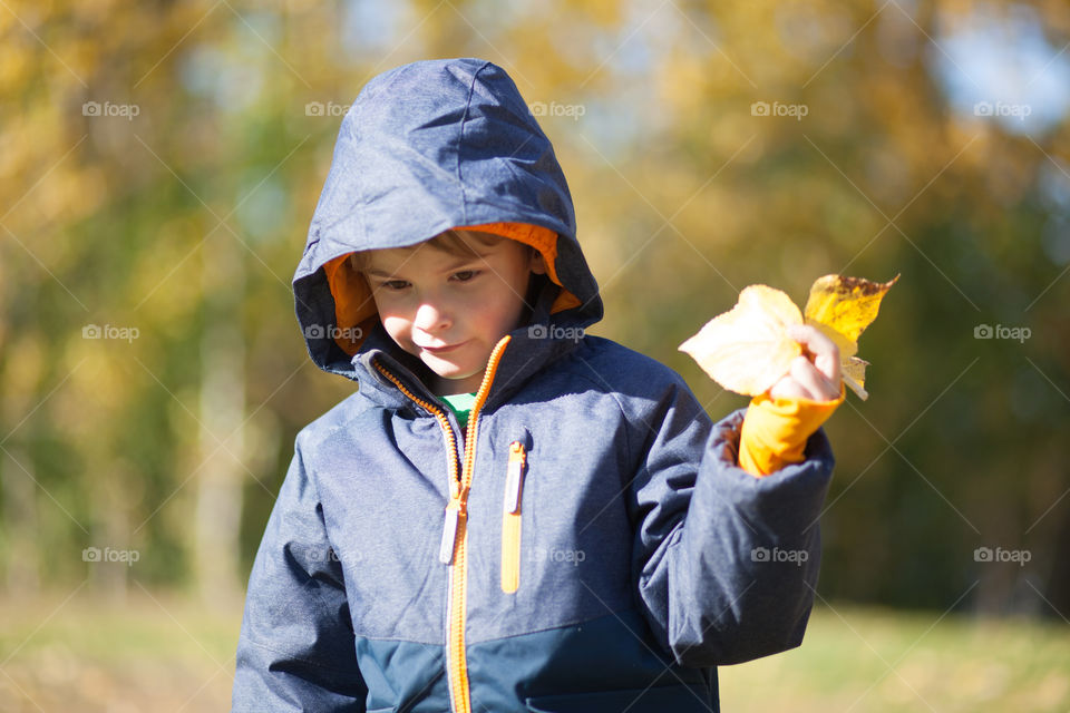 Boy with leaf in autumn. Boy holding colorful leaf in autumn park
