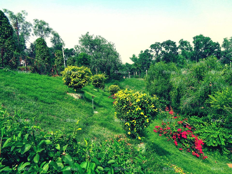 the green color stories