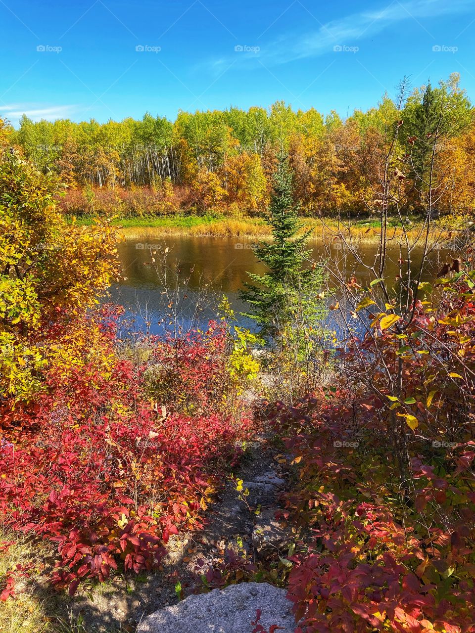 Autumn in Manitoba 