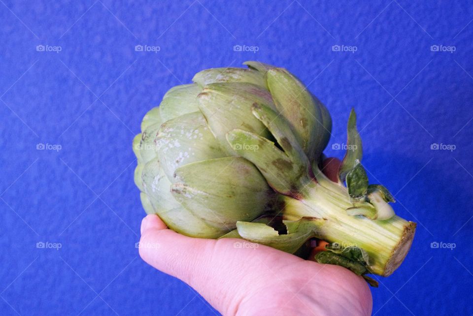 Artichoke