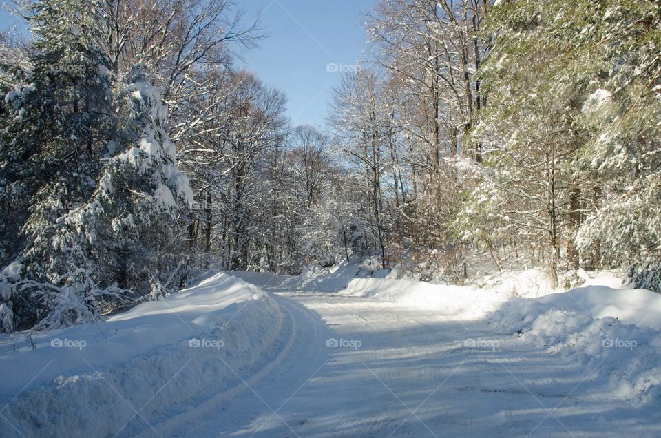 Winter landscape