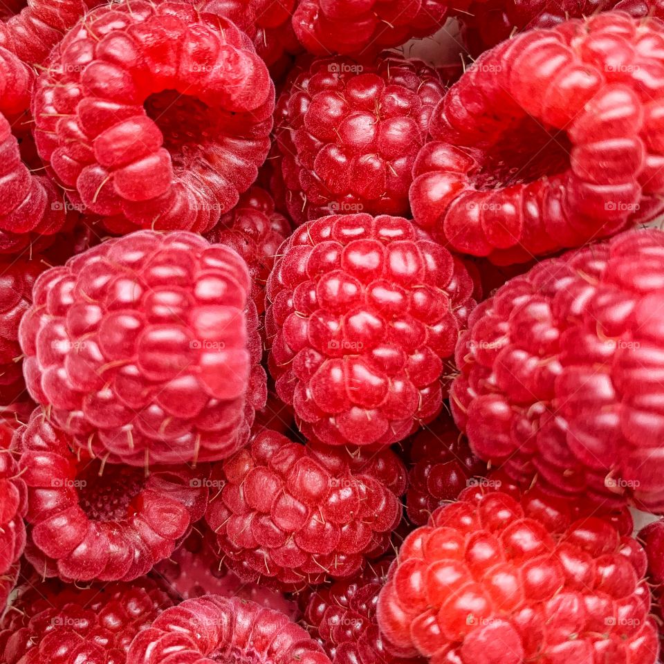 Fresh raspberry closeup 