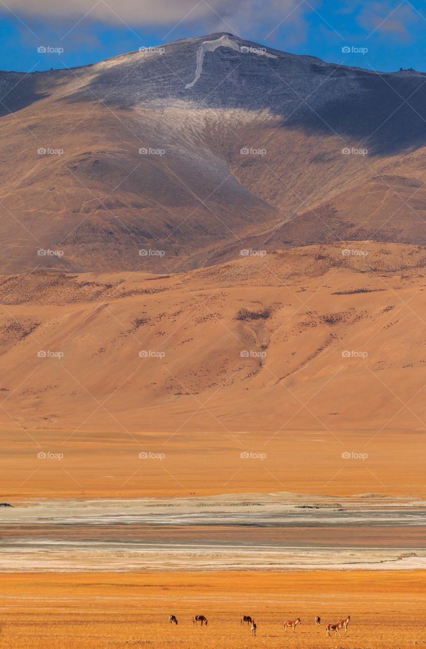 mesmerizing landscape of Ladakh.. india