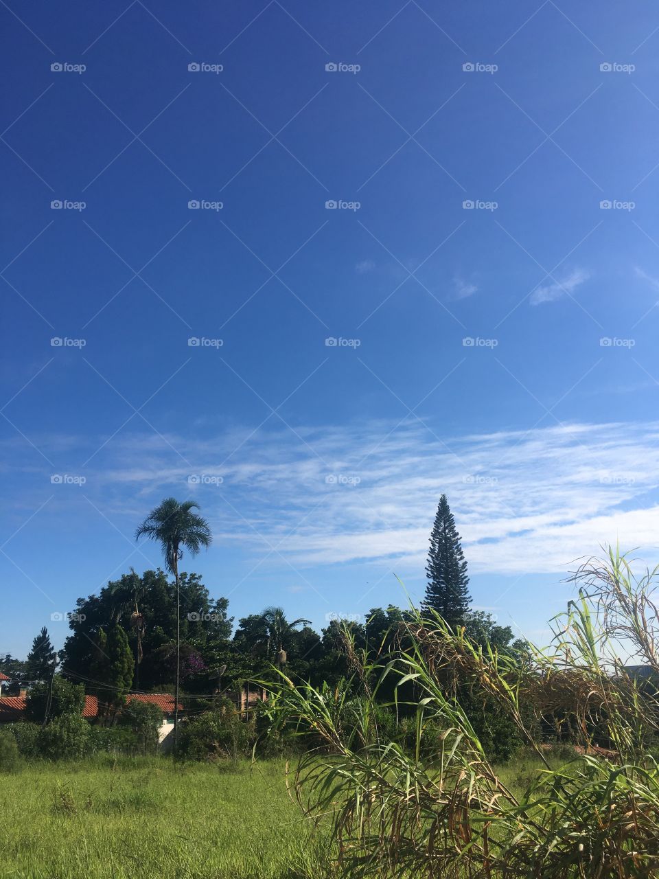 🌅Desperte, #Jundiaí.
Que a #Segundona possa valer a pena!
🍃🙌🏻
#sol #sun #sky #céu #photo #nature #morning #alvorada #natureza #horizonte #fotografia #pictureoftheday #paisagem #inspiração #amanhecer #mobgraphy #mobgrafia