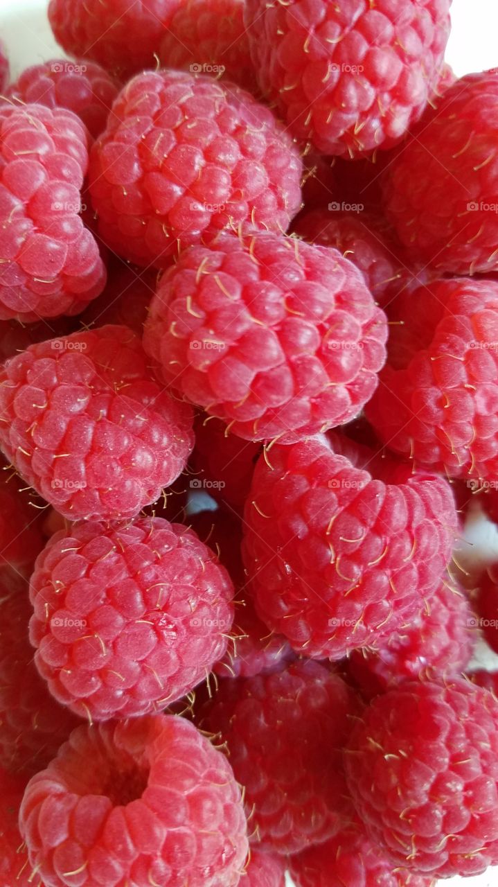 Fresh raspberries