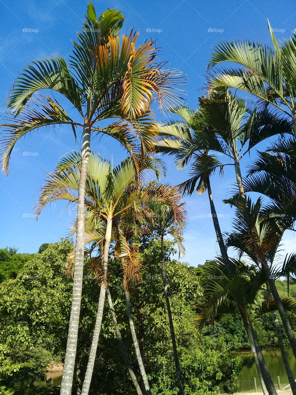 #NoFilter - O verde e o azul formam a combinação perfeita da Natureza!
📸
#FOTOGRAFIAéNOSSOhobby 
#Paisagem #Inspiration #Nature #Photo