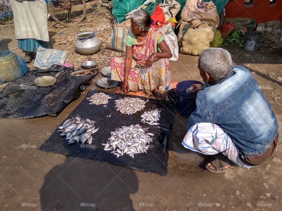 fishes sales on market