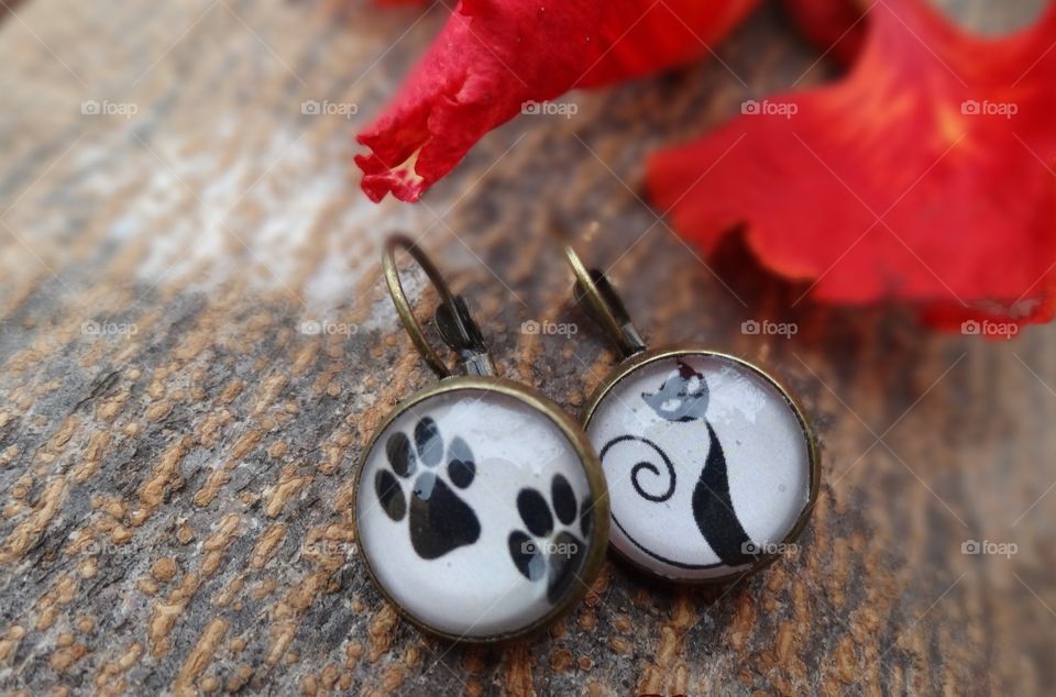 Cat 🐱 love earrings 