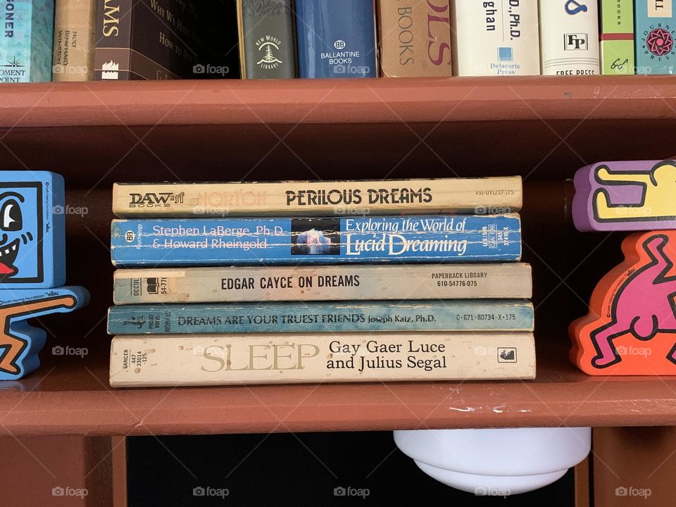 Dream books in the bookshelves 