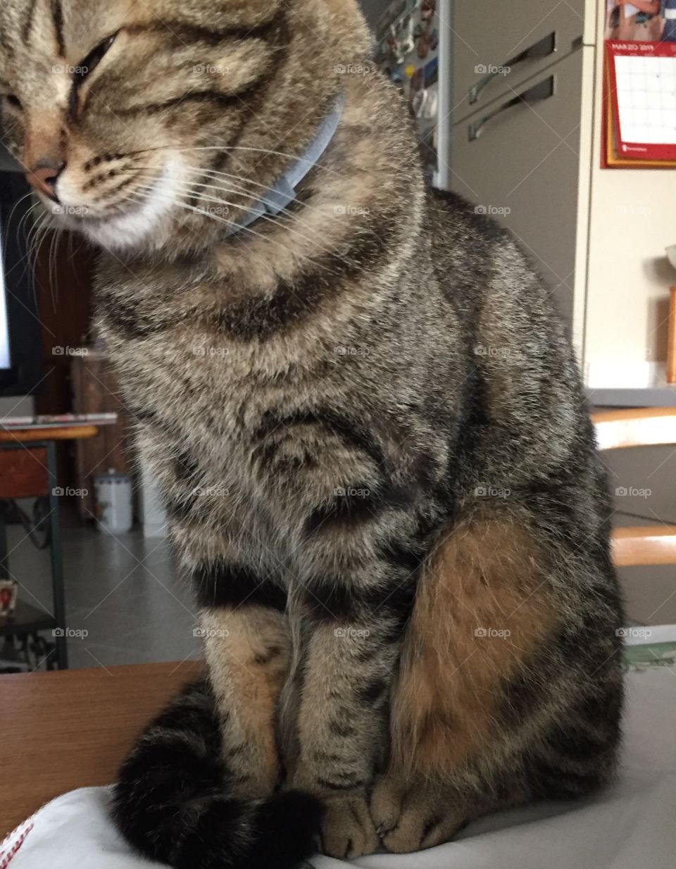 Are you serious? I’m out