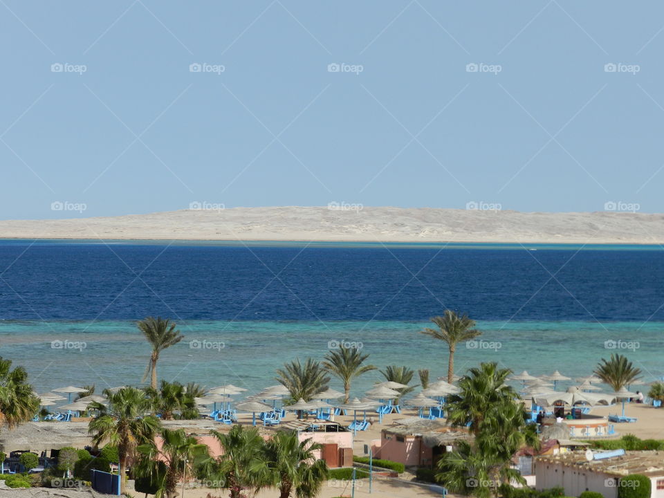 Red sea and palm in Egypt.