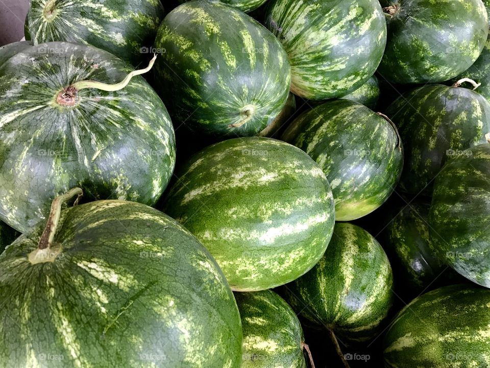 Two tone green watermelon pileup 