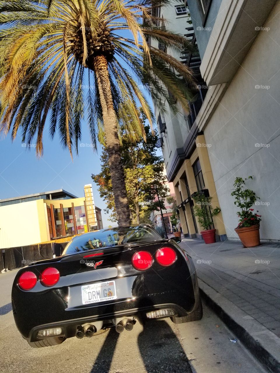 black corvette