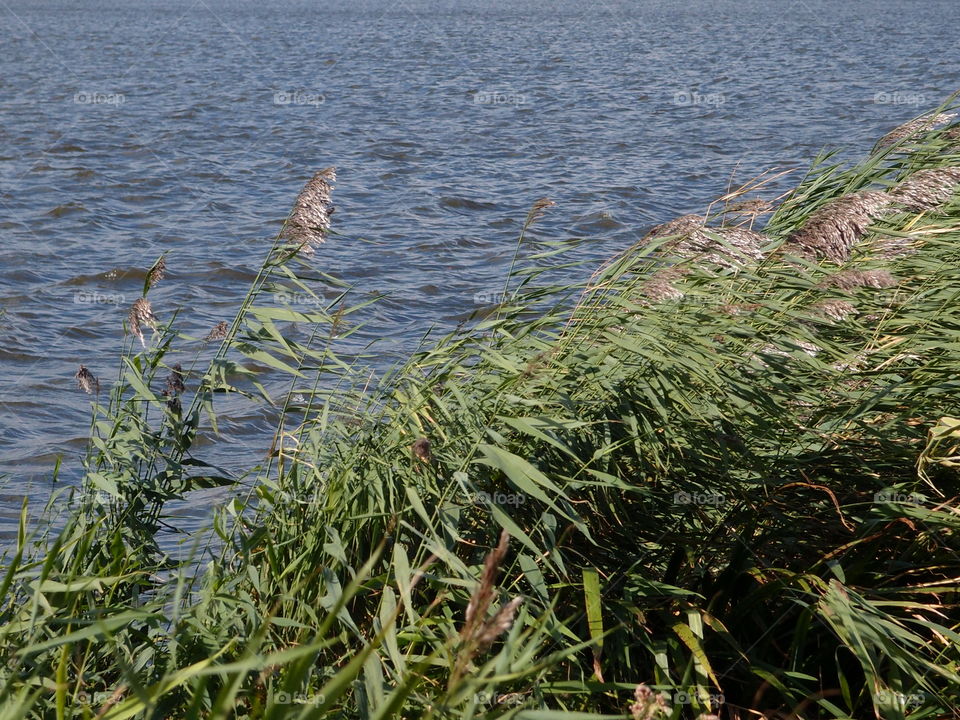 Water, Nature, Landscape, No Person, Summer