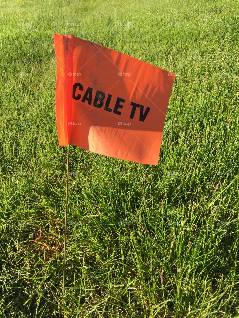 A line of little flags marks an underground cable line in the lawn of an office building. I was struck by the color contrast, the contradiction of playing outside vs watching cable tv, the artificial flags on a manicured lawn.
