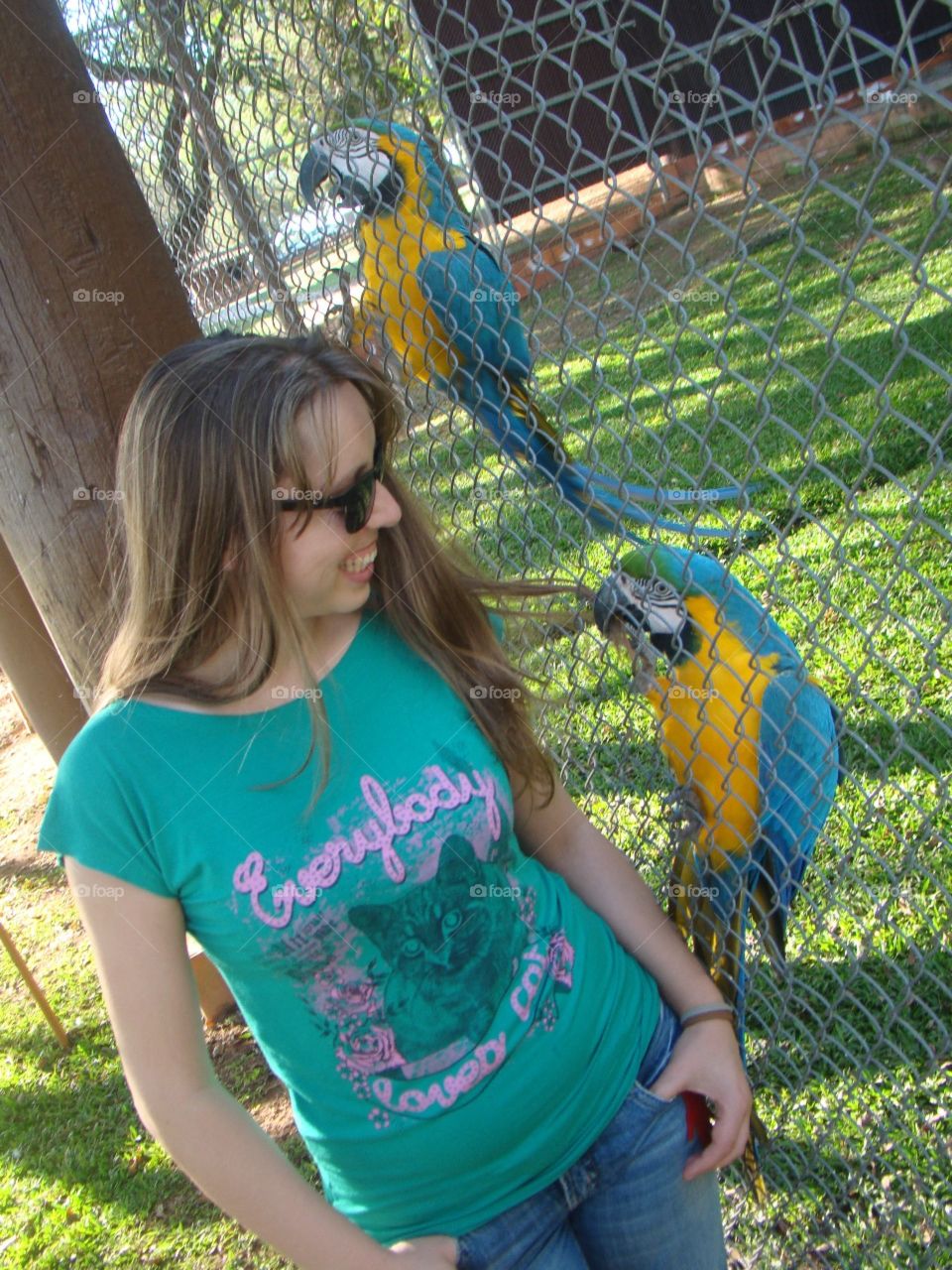 The best hairstylist - a blue-and-yellow macaw