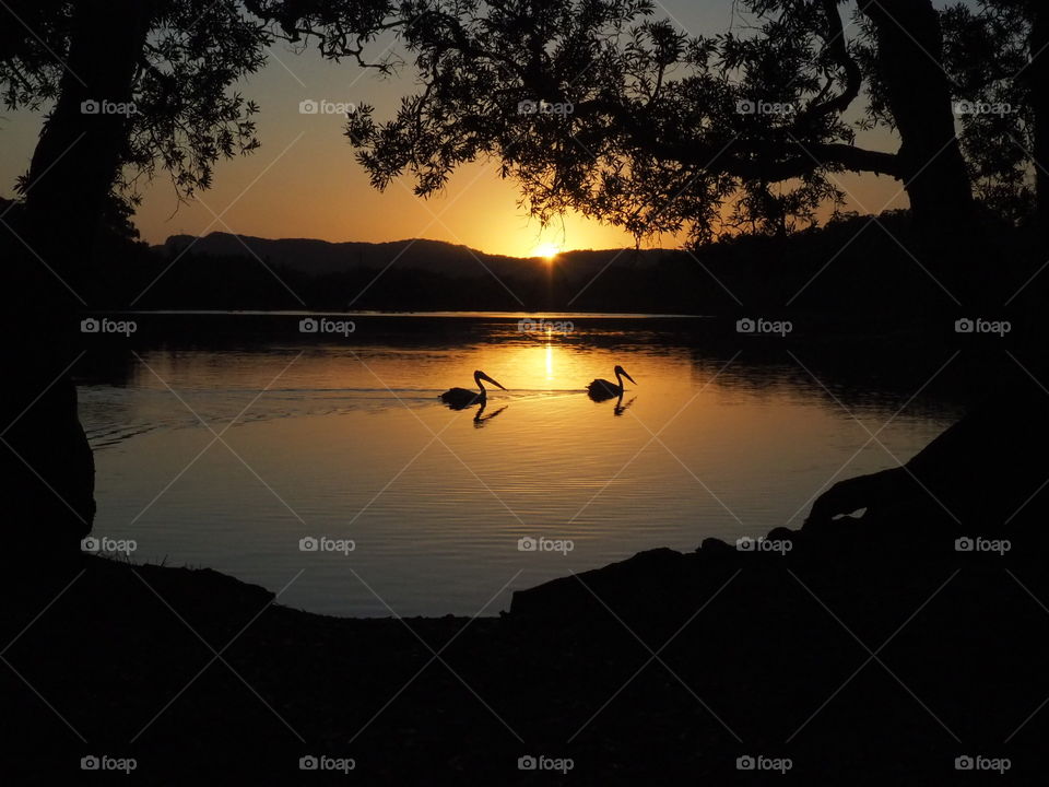 Sunset over Pelicans 